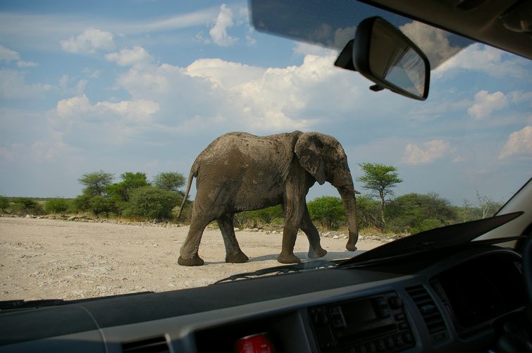720 Namibia Okt 2006 .JPG